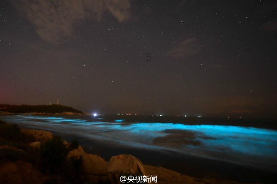 拯救枯树