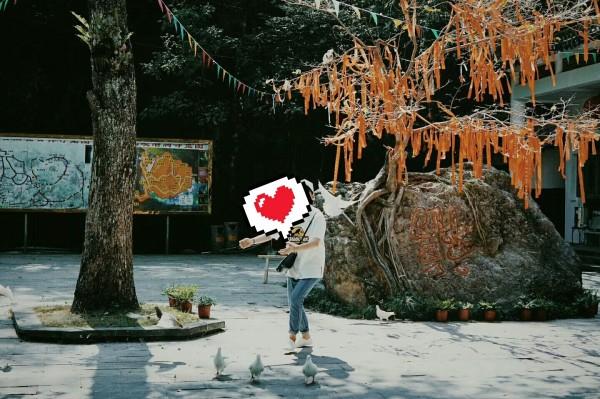 探索问答交流,尽在房子70年产权到期后要怎么去续签?!