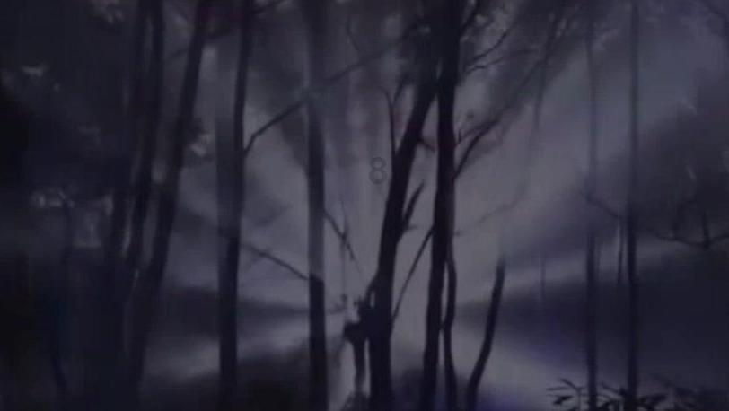 20年共同的记忆：涅槃重生 安居乐业龙头山