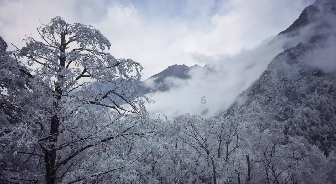 打造主城区商文旅综合体助力消费升级