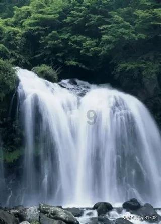 米乐米可森林大冒险